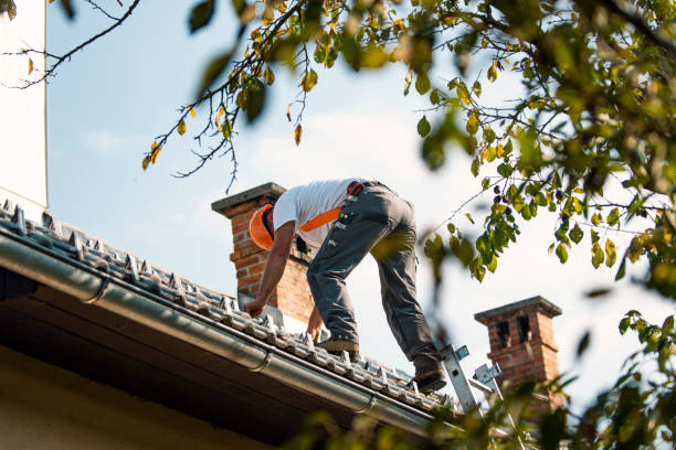 Quick and Trustworthy Emergency Roof Repair Services in Winter Springs, FL